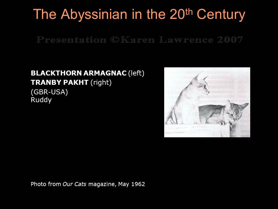 Abyssinian History - Part 3