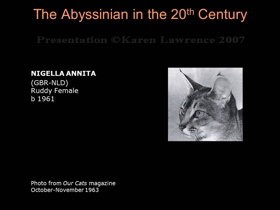 Abyssinian History - Part 3