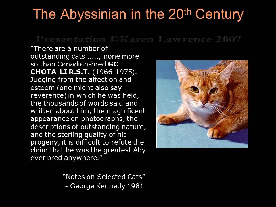 Abyssinian History - Part 3